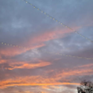 Meet your Posher, Pip